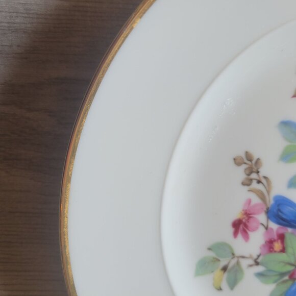 Set Of 2 Western Germany Bird Motif Decorative Plates With Gold Rim - Picture 4 of 8